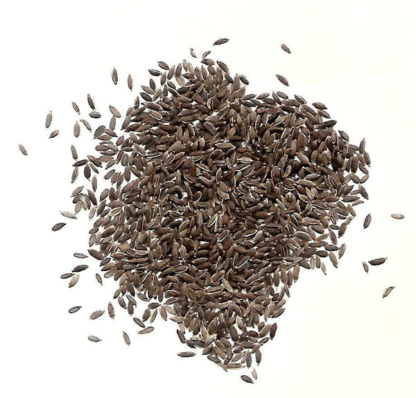 DILL SEEDS - Spice Pantry