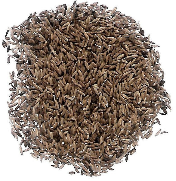CUMIN SEEDS ROASTED - Spice Pantry