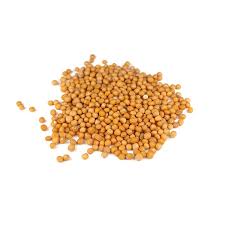 MUSTARD SEEDS YELLOW - Spice Pantry